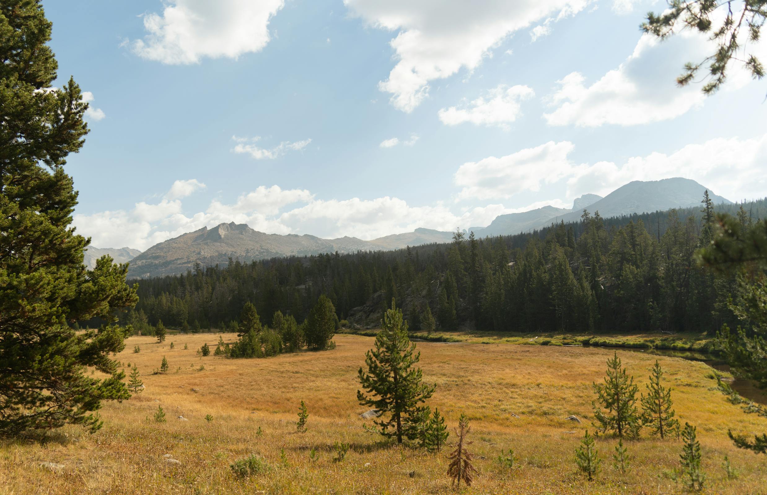 Wyoming wilderness with mountains and forests